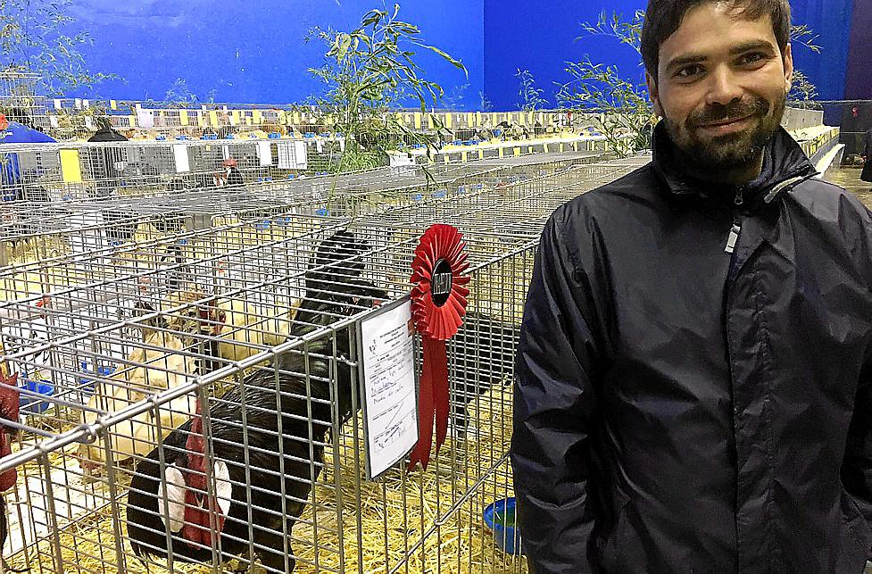 Jaume Ballester, vicepresidente de ACAIB, se alzó con el primer premio de gallo mallorquín en la exposición de aves de corral de Eoalak, celebrada en Vizcaya el pasado fin de semana.