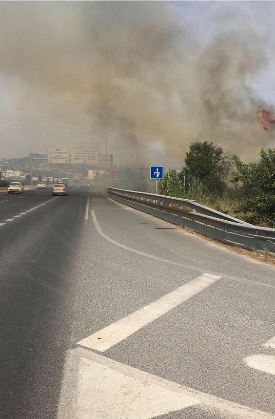 Sobresalto en Ibiza por un incendio en una zona entre can Misses y el recinto ferial.