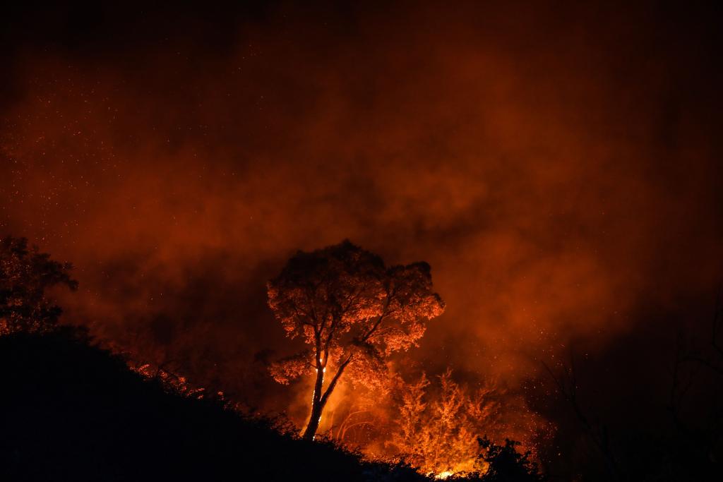 Incendio forestal en Monchique